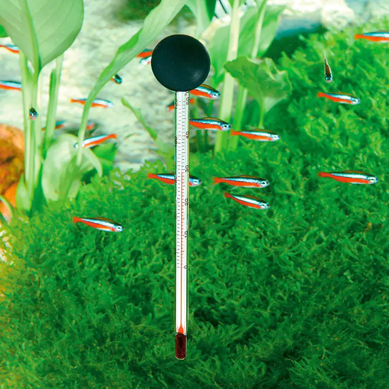 Термометр аквариумный стеклянный оптом.