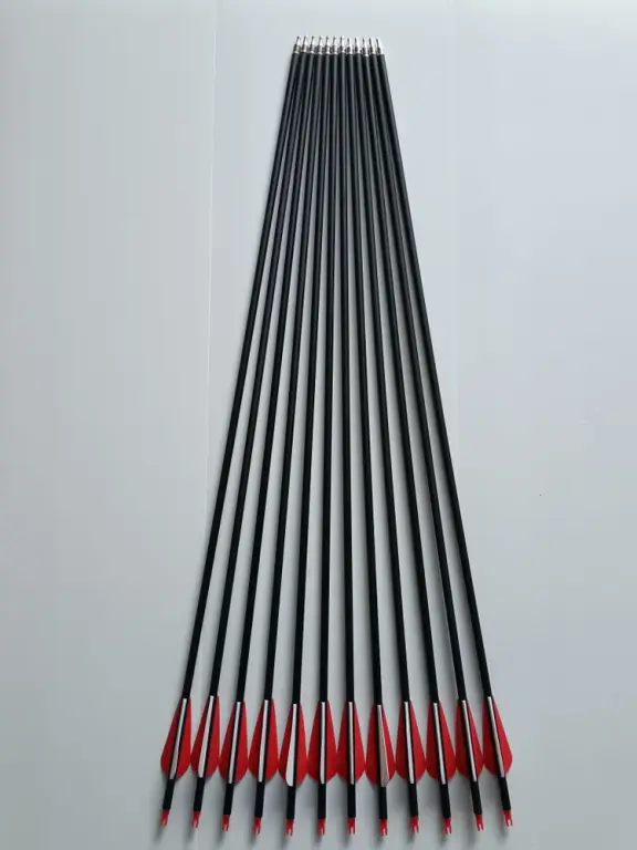 Стрелы для лука карбоновые 80см комплект от 150шт.